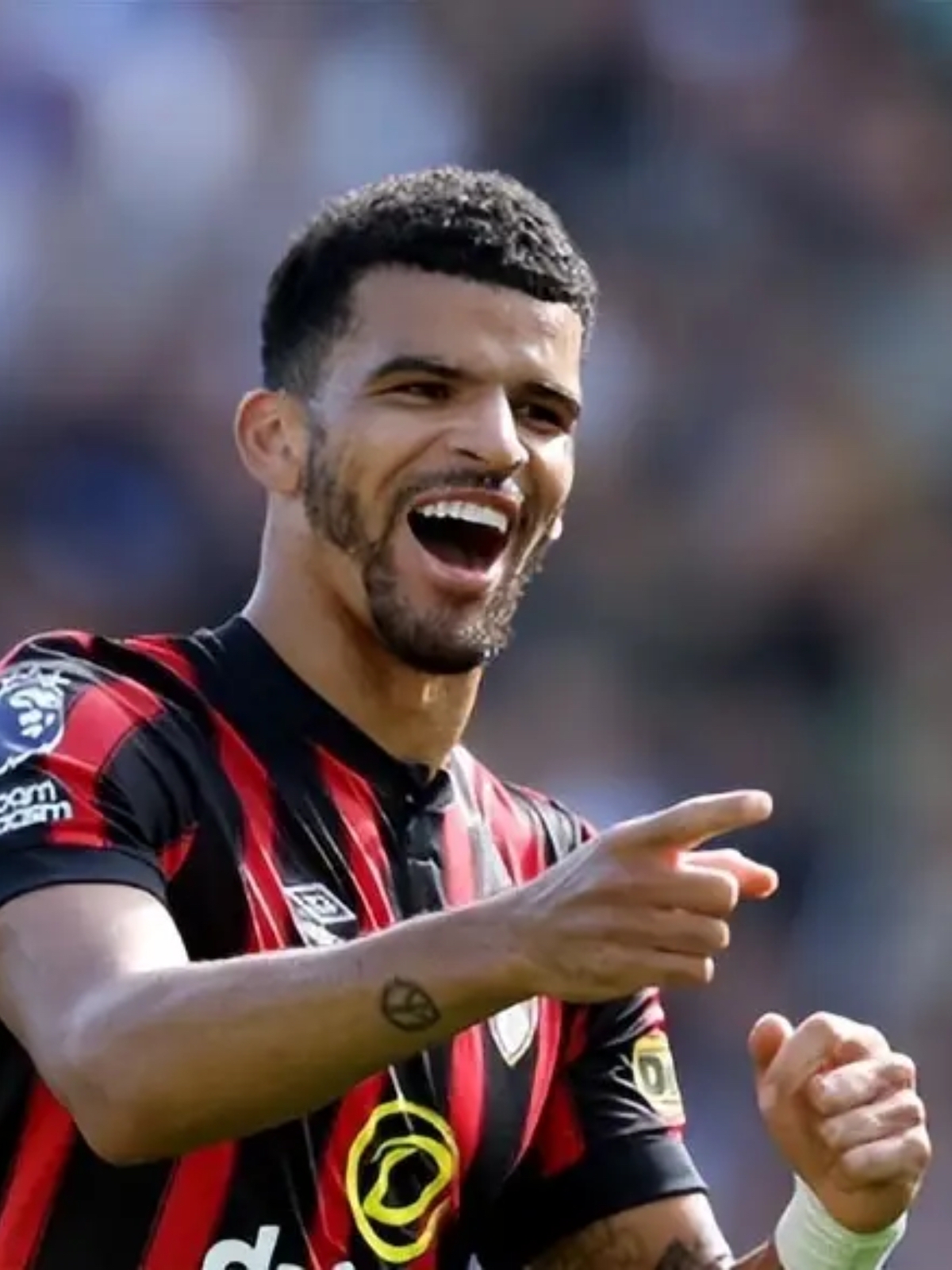 关于斯图加特训练开放日，转会期强势反弹引欢呼，英超在即，年轻球员得到机会的信息